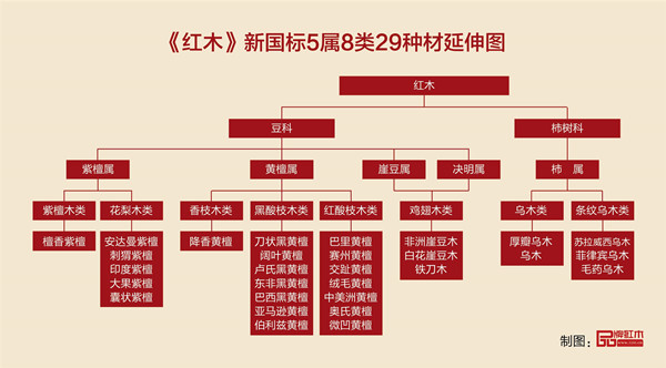 《紅木》新國標(biāo)實施一周年  誰動了我們的紅木資源？